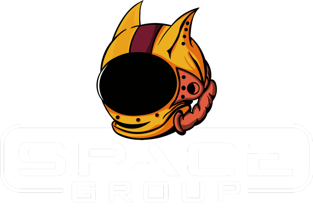 spacegrosir.br, Loja Online